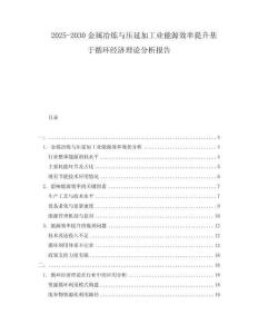 2025-2030金屬冶煉與壓延加工業能源效率提升基于循環經濟理論分析報告