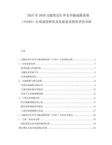 2025至2030功能性近紅外光學(xué)腦成像系統(tǒng)（fNIRS）行業(yè)深度研究及發(fā)展前景投資評(píng)估分析