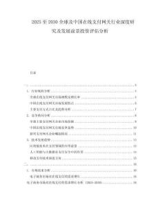 2025至2030全球及中國在線支付網關行業深度研究及發展前景投資評估分析