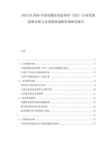 2025至2030中國雙極結型晶體管（BJT）行業發展趨勢分析與未來投資戰略咨詢研究報告