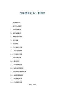 汽車撈金行業(yè)分析報告