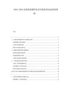 2025-2030金屬熱浸鍍鋅技術市場供需動態發展策略