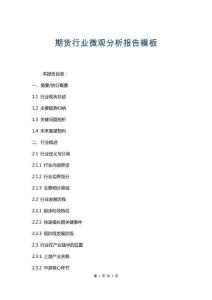 期貨行業(yè)微觀分析報告模板