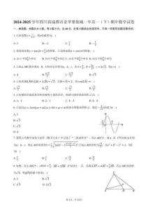 2024-2025學(xué)年四川省成都市金蘋(píng)果錦城一中高一（下）期中數(shù)學(xué)試卷（含解析）