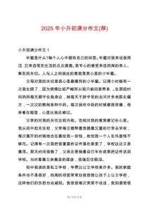 2025年小升初滿分作文(薦)