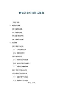 翻倍行業分析報告模板