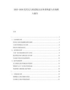 2025-2030民用無人機適航認證體系構(gòu)建與市場準(zhǔn)入報告