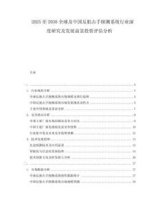 2025至2030全球及中國反狙擊手探測系統行業深度研究及發展前景投資評估分析