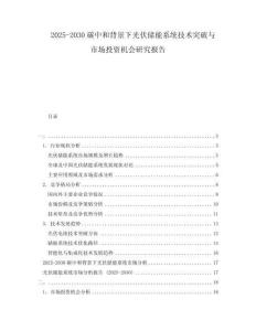 2025-2030碳中和背景下光伏儲(chǔ)能系統(tǒng)技術(shù)突破與市場(chǎng)投資機(jī)會(huì)研究報(bào)告