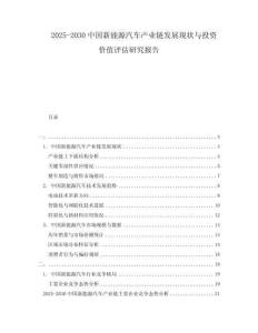 2025-2030中國(guó)新能源汽車產(chǎn)業(yè)鏈發(fā)展現(xiàn)狀與投資價(jià)值評(píng)估研究報(bào)告
