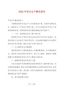 2025年安全生產(chǎn)整改報告