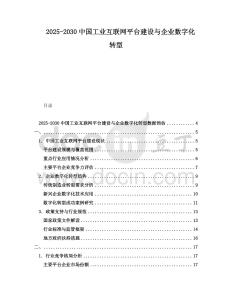 2025-2030中國(guó)工業(yè)互聯(lián)網(wǎng)平臺(tái)建設(shè)與企業(yè)數(shù)字化轉(zhuǎn)型