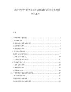 2025-2030中國智慧城市建設現狀與長期發展規劃研究報告