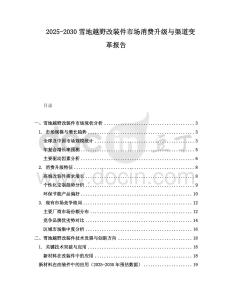 2025-2030雪地越野改裝件市場消費升級與渠道變革報告