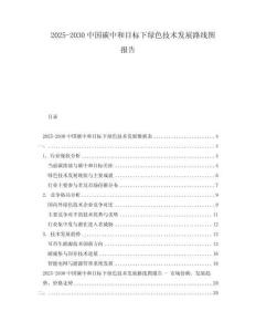 2025-2030中國(guó)碳中和目標(biāo)下綠色技術(shù)發(fā)展路線圖報(bào)告