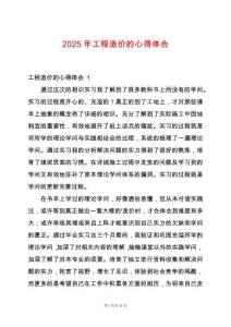 2025年工程造價(jià)的心得體會(huì)