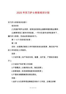 2025年實(shí)習(xí)護(hù)士崗前培訓(xùn)計(jì)劃