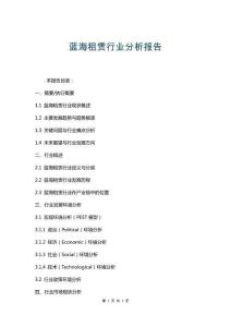 藍(lán)海租賃行業(yè)分析報告