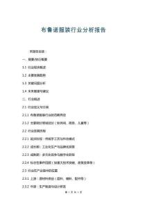 布魯諾服裝行業(yè)分析報告