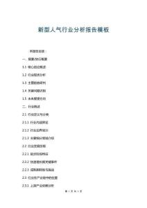 新型人氣行業(yè)分析報(bào)告模板