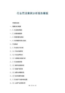行業(yè)罰沒案例分析報告模板