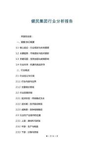 健民集團行業分析報告