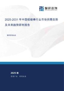 2025-2031年中國硅碳棒行業(yè)市場供需態(tài)勢及未來趨勢研判報告