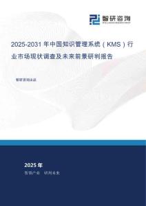 2025-2031年中國知識管理系統(tǒng)（KMS）行業(yè)市場現(xiàn)狀調(diào)查及未來前景研判報(bào)告