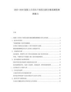 2025-2030混凝土自頂向下澆筑及劃分瀑流鋼筋捆綁應力
