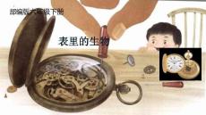 《表里的生物》課件 部編人教版語文六年級下冊
