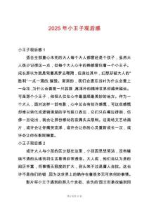 2025年小王子觀后感