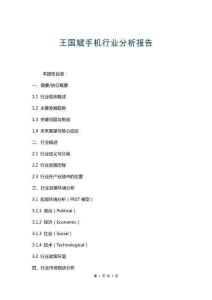 王國斌手機(jī)行業(yè)分析報(bào)告