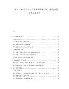 2025-2030中國云計(jì)算服務(wù)商商業(yè)模式比較與市場機(jī)會(huì)分析報(bào)告