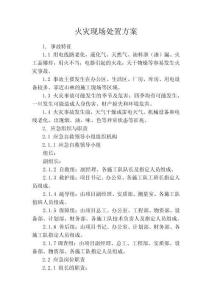 17.火災現場處置方案