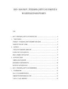 2025-2030海洋工程裝備核心部件行業(yè)市場供需分析及投資前景風險評估報告