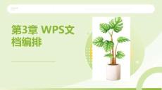WPS Office辦公應(yīng)用案例教程：WPS文檔編排PPT教學課件