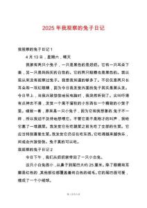 2025年我觀察的兔子日記