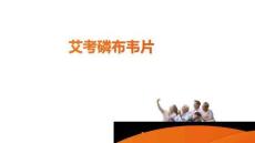 艾考磷布韋片10