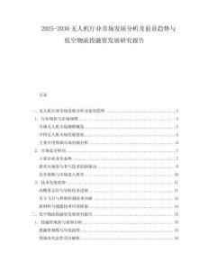 2025-2030無人機行業市場發展分析及前景趨勢與低空物流投融資發展研究報告