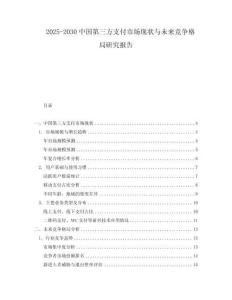 2025-2030中國(guó)第三方支付市場(chǎng)現(xiàn)狀與未來(lái)競(jìng)爭(zhēng)格局研究報(bào)告