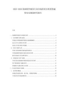 2025-2030基礎軟件服務行業市場供需分析投資融資布局規劃研究報告