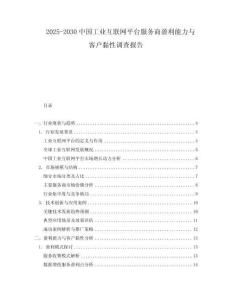 2025-2030中國工業互聯網平臺服務商盈利能力與客戶黏性調查報告