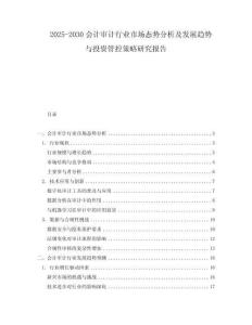 2025-2030會計審計行業市場態勢分析及發展趨勢與投資管控策略研究報告