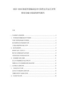 2025-2030海底管道輸油技術可靠性安全運行評價優化實施方案深度研究報告