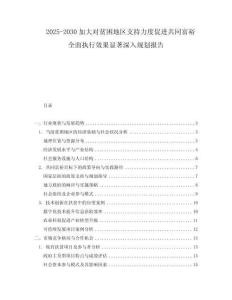 2025-2030加大對貧困地區(qū)支持力度促進(jìn)共同富裕全面執(zhí)行效果顯著深入規(guī)劃報(bào)告