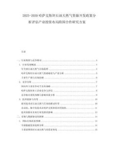 2025-2030哈薩克斯坦石油天然氣資源開發(fā)政策分析評(píng)估產(chǎn)業(yè)投資布局跨國合作研究方案