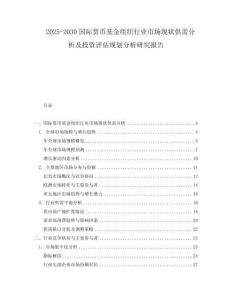 2025-2030國際貨幣基金組織行業市場現狀供需分析及投資評估規劃分析研究報告