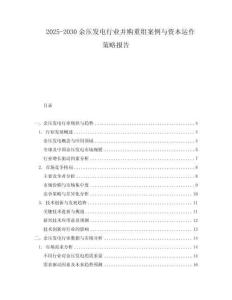 2025-2030余壓發電行業并購重組案例與資本運作策略報告
