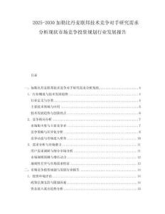 2025-2030加勒比丹麥聯(lián)邦技術(shù)競爭對手研究需求分析現(xiàn)狀市場競爭投資規(guī)劃行業(yè)發(fā)展報告