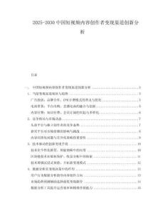 2025-2030中國短視頻內(nèi)容創(chuàng)作者變現(xiàn)渠道創(chuàng)新分析